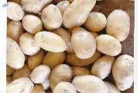 Fresh Potato