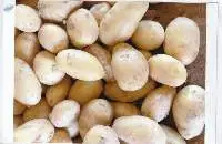 Potato