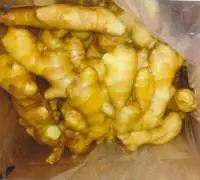 Ginger