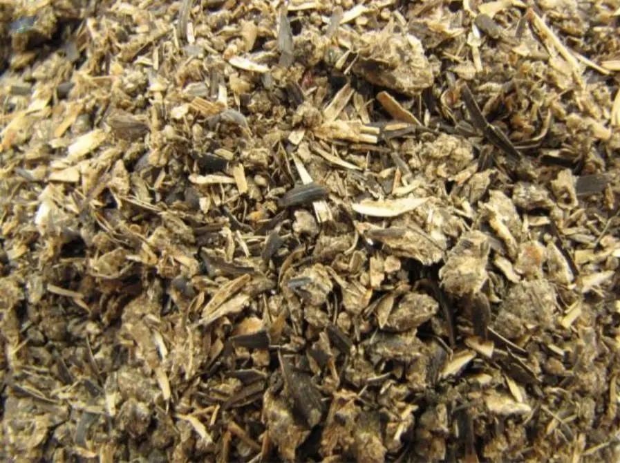 Sunflower Meal and Pellet