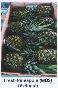 Fresh Pineapple