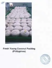 Fresh Young Coconut - Aromatic Sweet