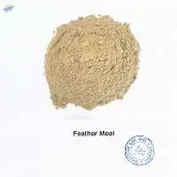 Feather Meal