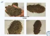 Meat Bone Meal Europe