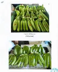Fresh Banana