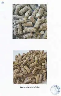 Tapioca Pellet