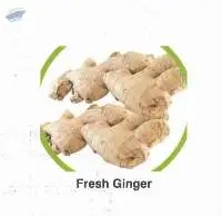 Ginger