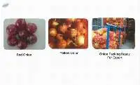 Red Onion/Yellow Onion