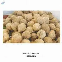 Husked Coconut Indonesia