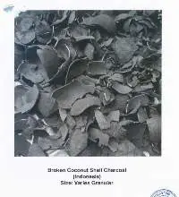 Coconut Shell Charcoal