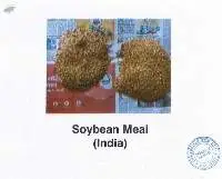 Soybean Meal