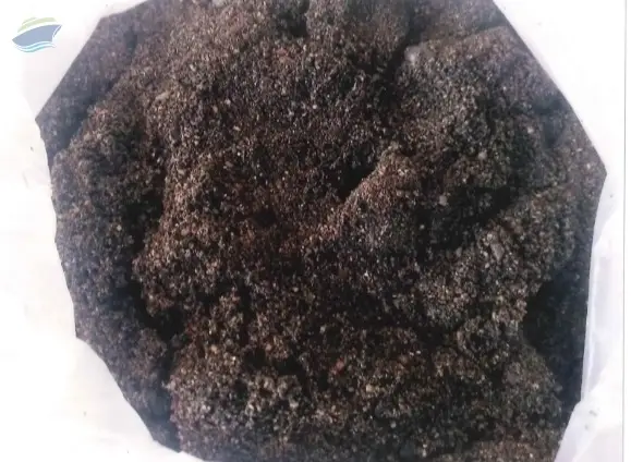 River Sand