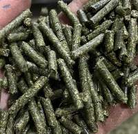 Beet Pulp Pellet