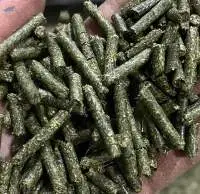 Beet Pulp Pellet