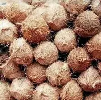 Husked Coconut