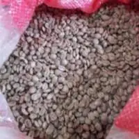 Green Coffee Bean