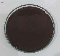 Fish Oil