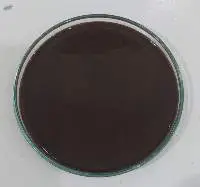 Fish Oil