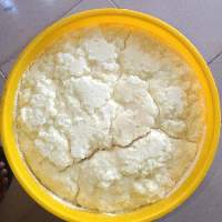 Shea Butter