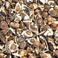 Moringa Powder
