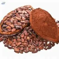 Cocoa Powder