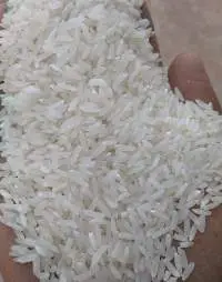 Long Grain Broken White Rice IR64 - 5% and 100%