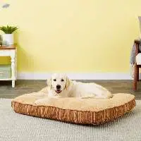 Pillow For Pets