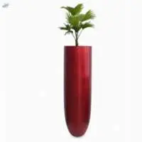 Planter & Flowers Pots