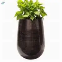 Planter & Flowers Pots