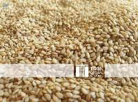Sesame Seeds