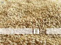 Sesame Seeds