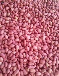 Peanuts