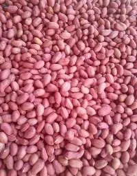 Peanuts