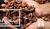 Cocoa Bean