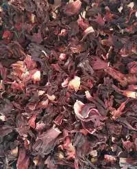 Hibiscus Flower