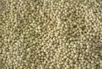 Soybeans