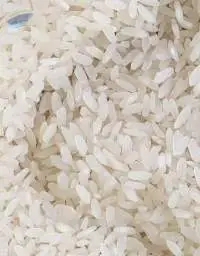 Masuri Rice
