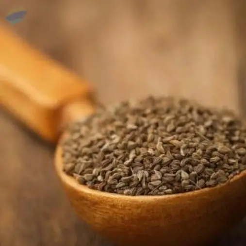Ajwain Oil by Laxmi Essential Oil Oleoresins & Fragrance Pvt Ltd. Supplier from India. Product