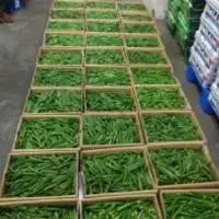 Okra