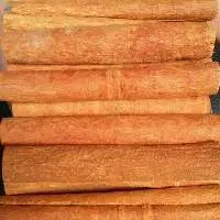 All type of Cinnamon