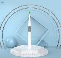 Brush And Head Replaceable Electric Tooth Brush