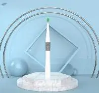 Brush And Head Replaceable Electric Tooth Brush