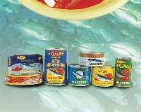 Canned Sardines / Mackerel