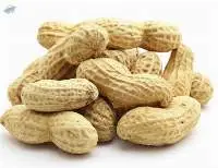 Peanuts