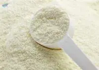 Milk Powder