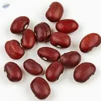 Beans