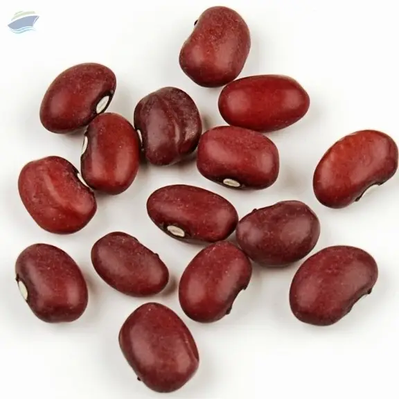 Beans