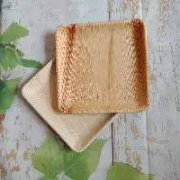 Disposable Biodegradable Square Palm Leaf Plates