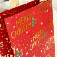 Seasonal Paper Bags , Gift Paper Bags