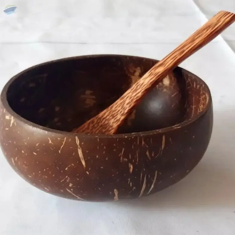 Coconut Shell Bowls